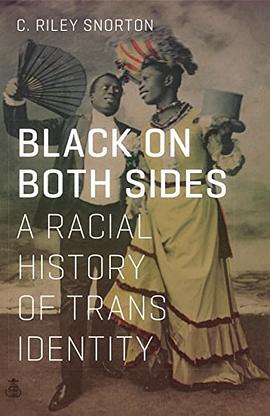 Black on Both Sides pdf epub mobi 电子书 下载