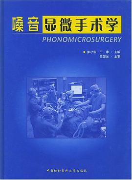 噪音显微外科学 pdf epub mobi 电子书 下载
