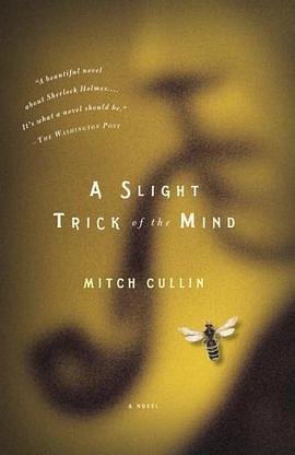A Slight Trick of the Mind pdf epub mobi 电子书 下载