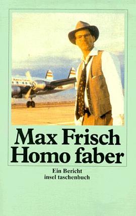 Homo faber. Großdruck. Ein Bericht. pdf epub mobi 电子书 下载