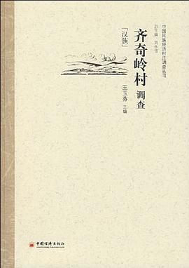 齐奇岭村调查 pdf epub mobi 电子书 下载