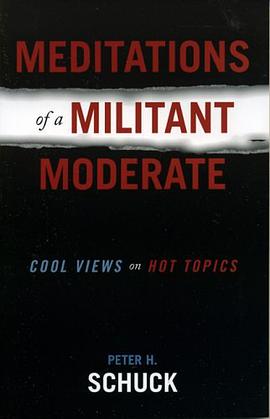 Meditations of a Militant Moderate pdf epub mobi 电子书 下载