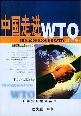 中国走进WTO pdf epub mobi 电子书 下载