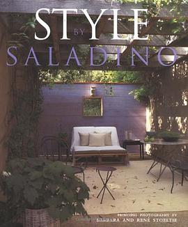 Style by Saladino pdf epub mobi 电子书 下载