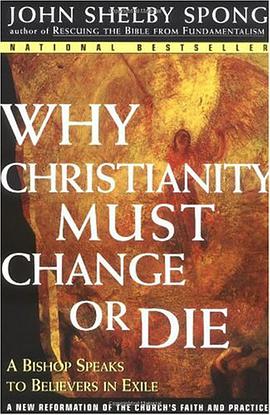 Why Christianity Must Change or Die pdf epub mobi 电子书 下载
