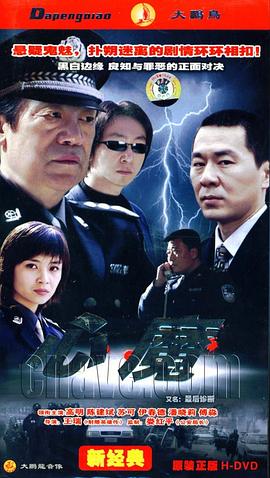 最后诊断二十四刑侦悬疑电视连续剧(DVD)