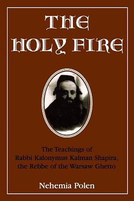 The Holy Fire pdf epub mobi 电子书 下载