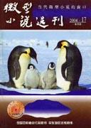 微型小说选刊 pdf epub mobi 电子书 下载