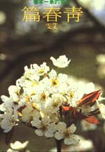 青春篇 pdf epub mobi 电子书 下载