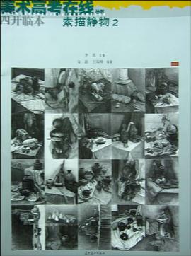 美术高考在线丛书 pdf epub mobi 电子书 下载