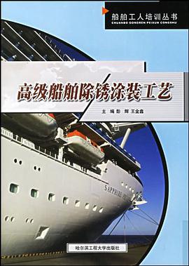 高级船舶除锈涂装工艺 pdf epub mobi 电子书 下载