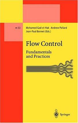 Flow Control pdf epub mobi 电子书 下载