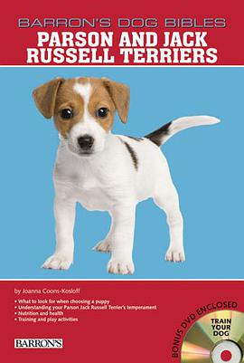 Parson and Jack Russell Terriers