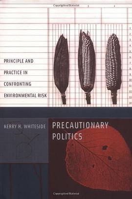 Precautionary Politics pdf epub mobi 电子书 下载