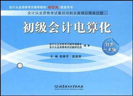 初级会计电算化 pdf epub mobi 电子书 下载