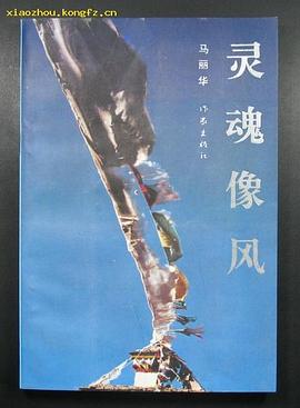 灵魂像风 pdf epub mobi 电子书 下载