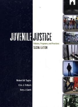 Juvenile Justice pdf epub mobi 电子书 下载
