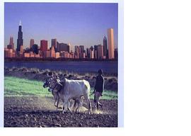 From Modernization to Globalization: Perspectives on Develop pdf epub mobi 电子书 下载