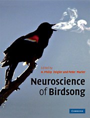 Neuroscience of Birdsong pdf epub mobi 电子书 下载