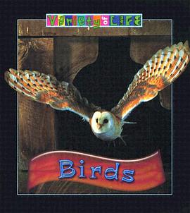 Birds pdf epub mobi 电子书 下载