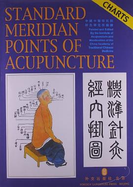 标准针灸经穴挂图 pdf epub mobi 电子书 下载