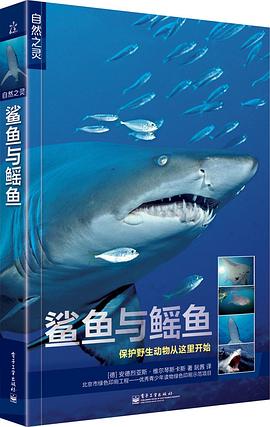 鲨鱼与鳐鱼 pdf epub mobi 电子书 下载