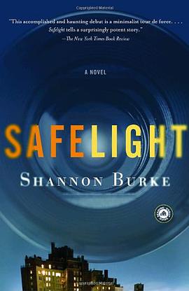 Safelight pdf epub mobi 电子书 下载