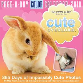 Cute Overload Calendar pdf epub mobi 电子书 下载