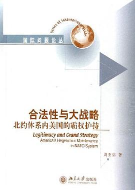 閤法性與大戰略 pdf epub mobi 下载