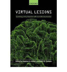Virtual Lesions pdf epub mobi 下载