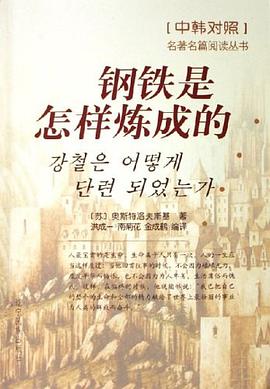 钢铁是怎样炼成的（中韩对照） pdf epub mobi 电子书 下载