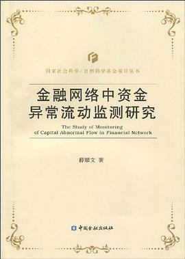 金融网络中资金异常流动监测研究 pdf epub mobi 电子书 下载