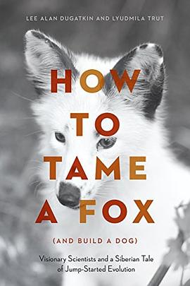 How to Tame a Fox pdf epub mobi 电子书 下载