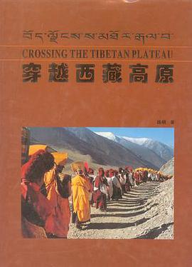 穿越西藏高原 pdf epub mobi 下载