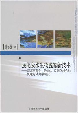 强化废水生物脱氮新技术 pdf epub mobi 电子书 下载