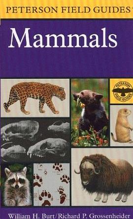 A Field Guide to Mammals pdf epub mobi 下载