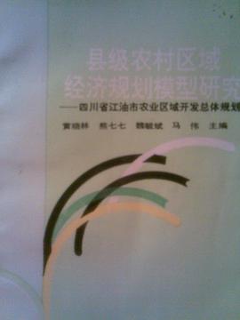 县级农村区域经济规划模型研究 pdf epub mobi 电子书 下载