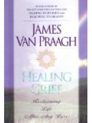 Healing Grief : Reclaiming Life After Any Loss pdf epub mobi 电子书 下载