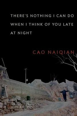 There's Nothing I Can Do When I Think of You Late at Night pdf epub mobi 电子书 下载