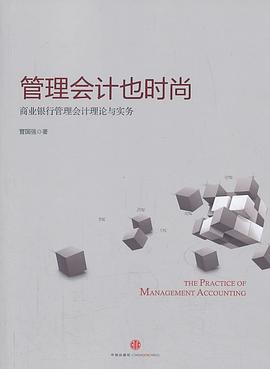 管理会计也时尚 pdf epub mobi 下载