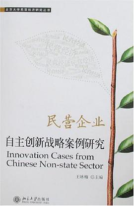 民营企业自主创新战略案例研究 pdf epub mobi 电子书 下载