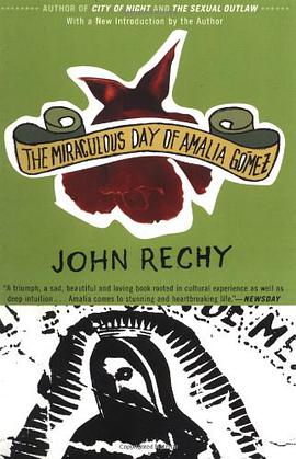 The Miraculous Day of Amalia Gomez pdf epub mobi 电子书 下载