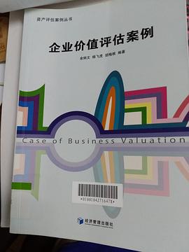 资产评估案例丛书：企业价值评估案例 pdf epub mobi 电子书 下载