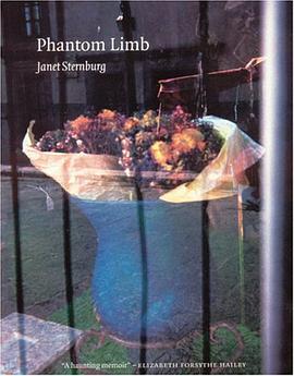 Phantom Limb pdf epub mobi 电子书 下载
