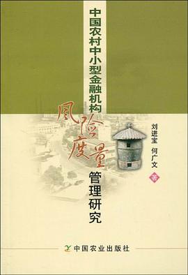 中国农村中小型金融机构风险度量管理研究