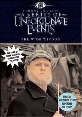 Lemony Snicket Wide Window pdf epub mobi 电子书 下载