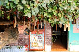 化学-高考笔记-高考冲刺总复习