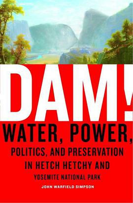 Dam! pdf epub mobi 电子书 下载