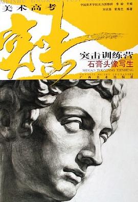 石膏头像写生 pdf epub mobi 电子书 下载