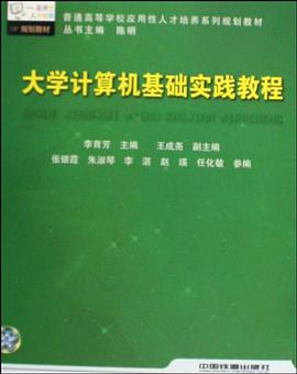 大学计算机基础实践教程 pdf epub mobi 电子书 下载